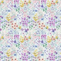 dsXStella-DCJ2767 White